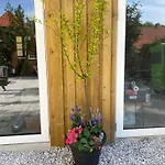 Sejero Vandrehjem Hostel